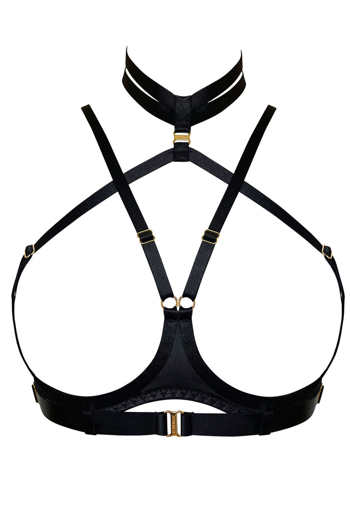 Bordelle Vero black underwire ouvert bra with adjustable collar, cup/shoulder straps and under band with 24k gold plated hardware. Front view on plain white background.
