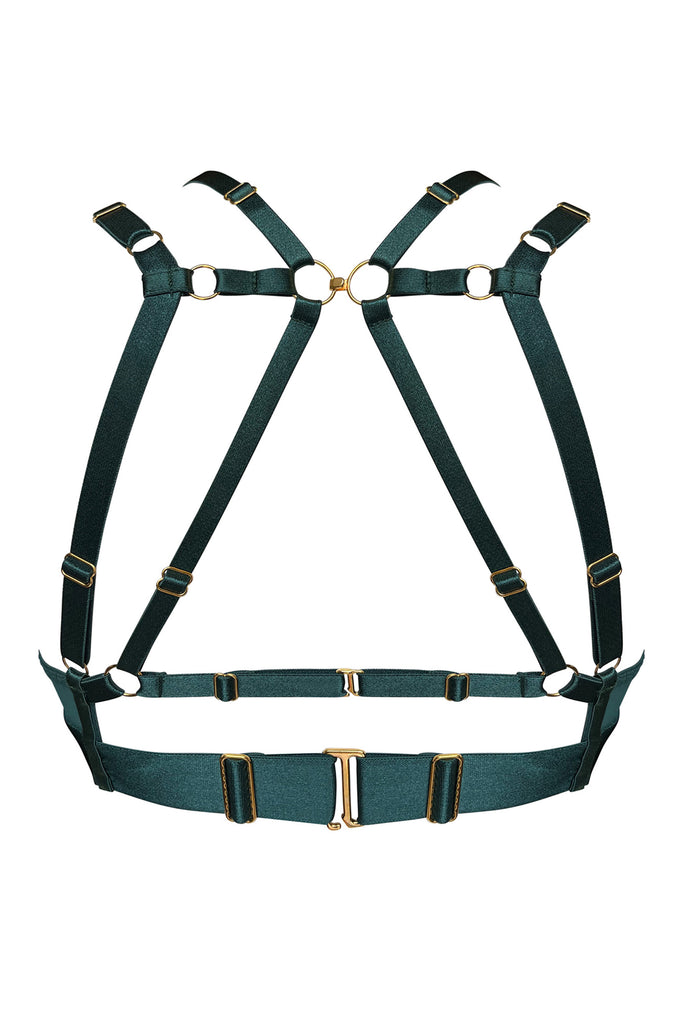 Bordelle Vero rich eden green. Back view on plain white background shows adjustable shoulder, back and under band straps with gold plated hook closure at top and swan hook closures on underband.