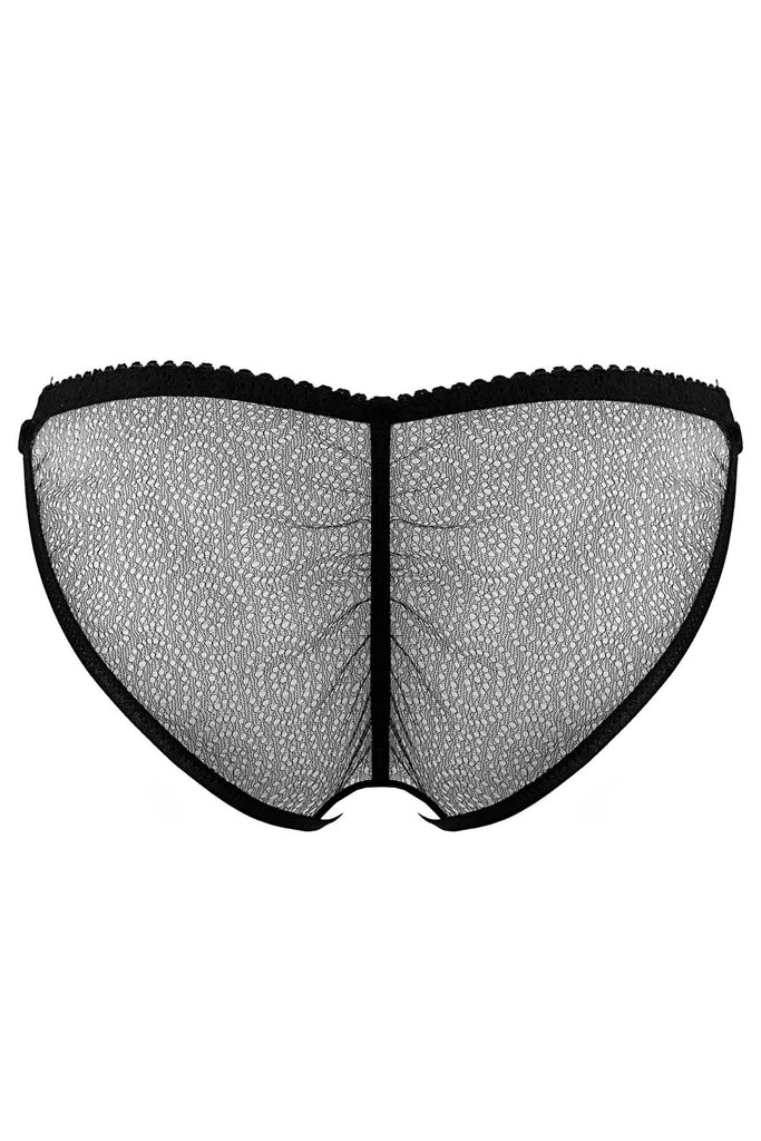Paloma Casile Louise crotchless brief in lace and satin elastic, back view on plain white background